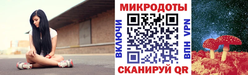 сколько стоит  Сергач  Псилоцибиновые грибы прущие грибы 